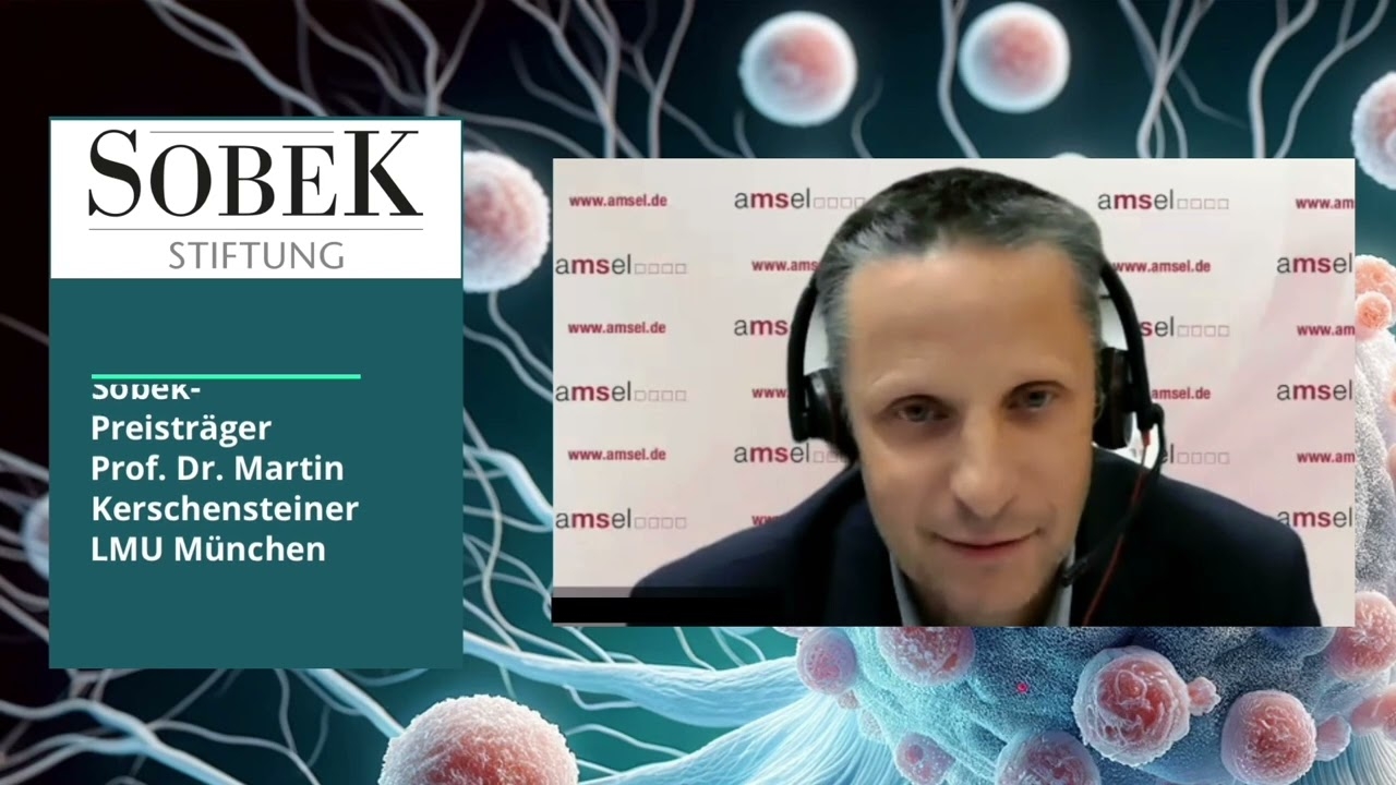 15 German Foundation Centers in the Foundation Network's 2023 Advent Calendar