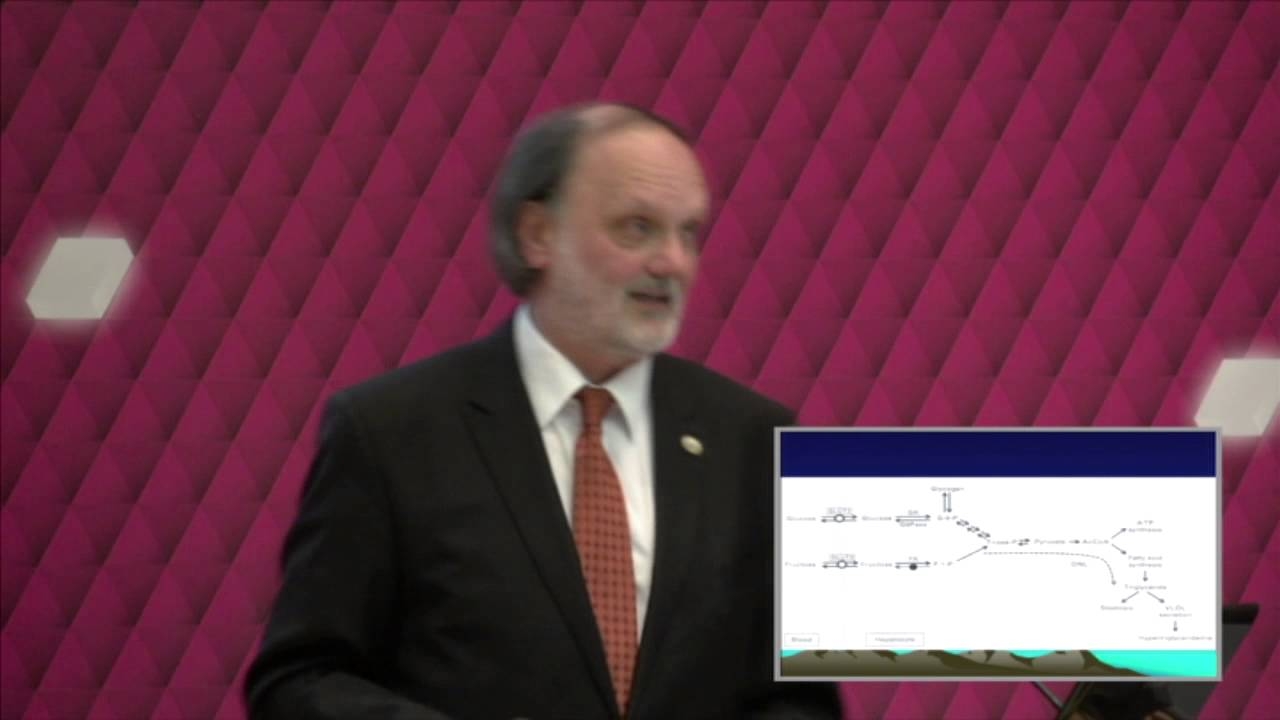 Dr. István Karádi - Fructose and the metabolic syndrome