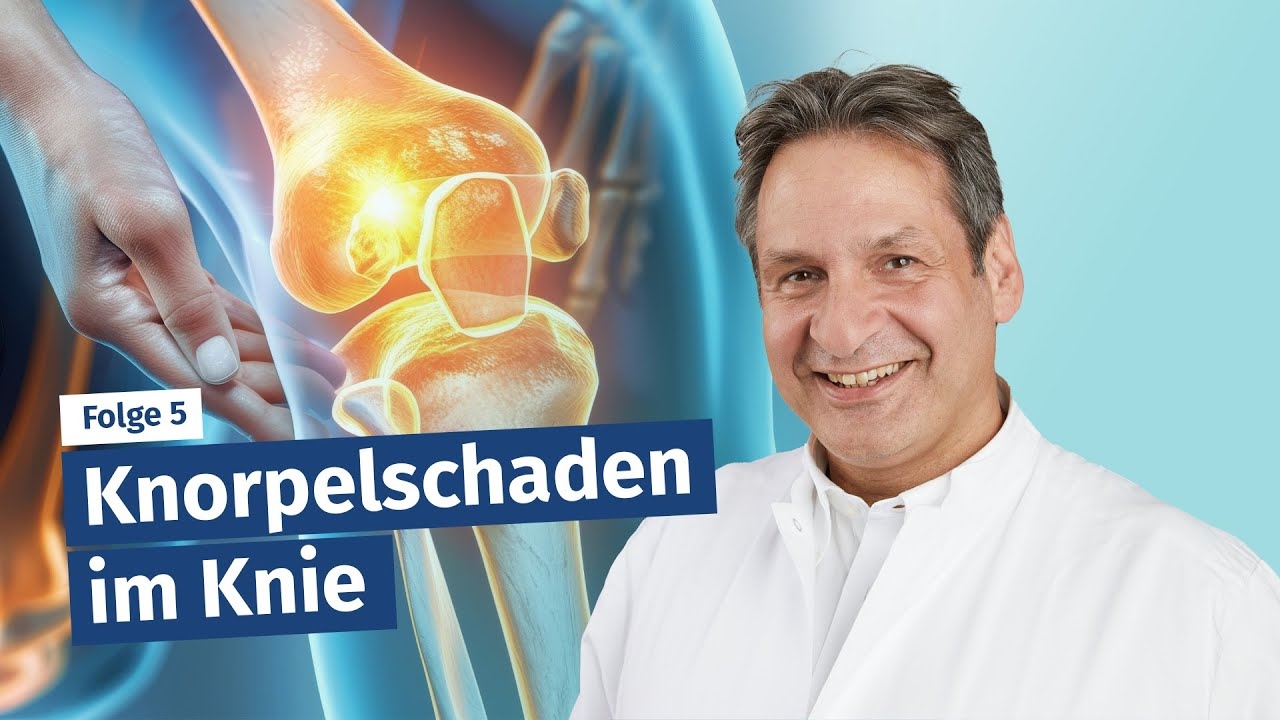 Cartilage damage in the knee: When the “shock absorber” fails