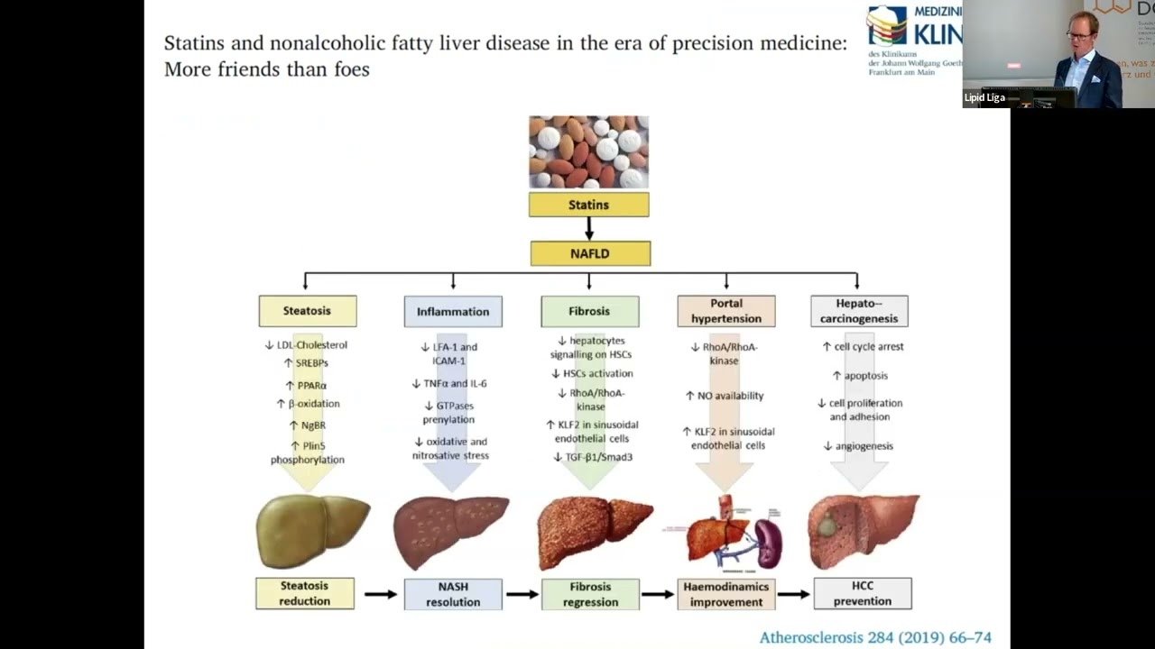 Lipid therapy for fatty liver disease
