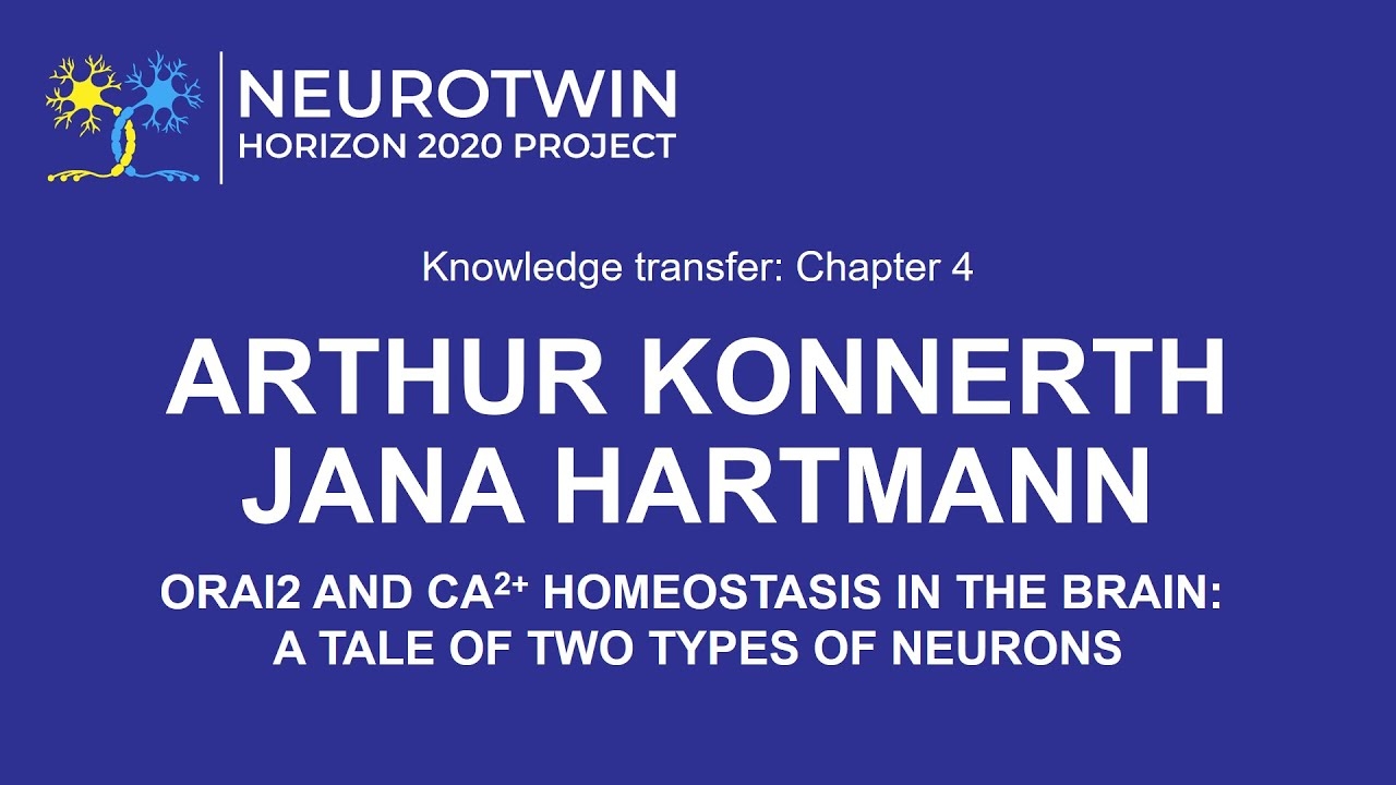 Arthur Konnerth & Jana Hartmann: Orai2 and Ca2+ homeostasis in the brain
