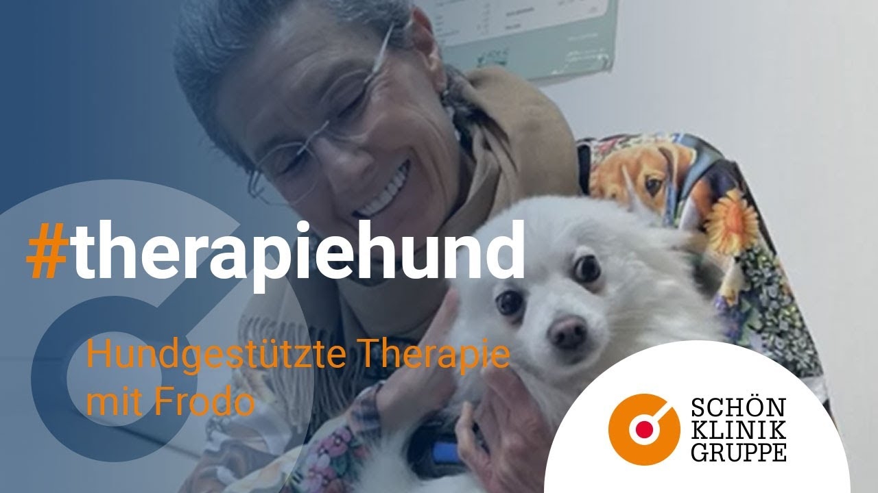 Dog-assisted therapy with Frodo at Schön Klinik Roseneck