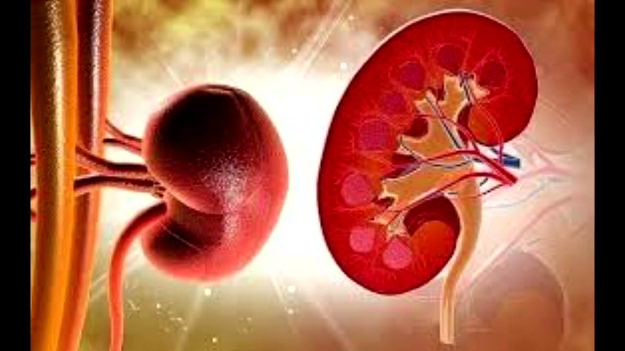 Dr. Miloreta Tolaj Avdiu, March 13, 2025