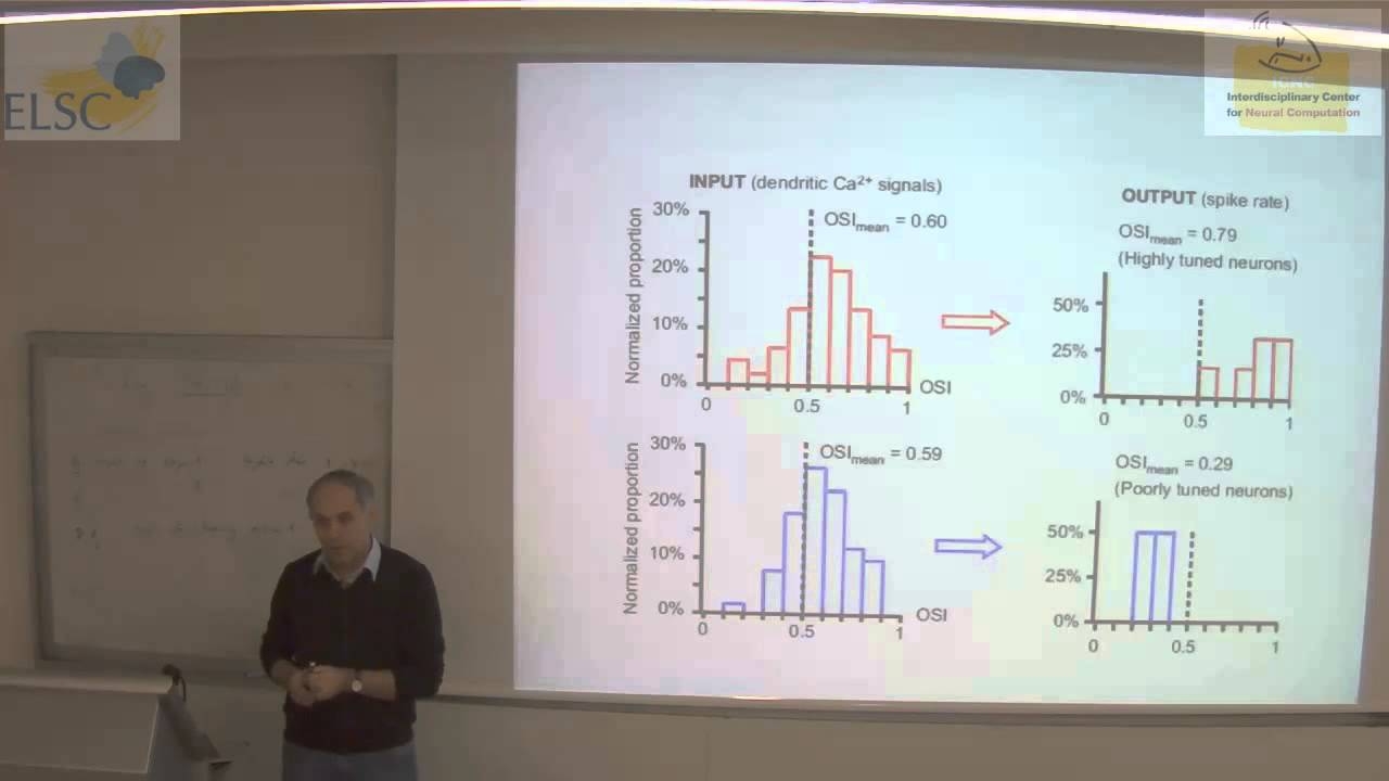 2013 Heller Lecture - Prof. Arthur Konnerth