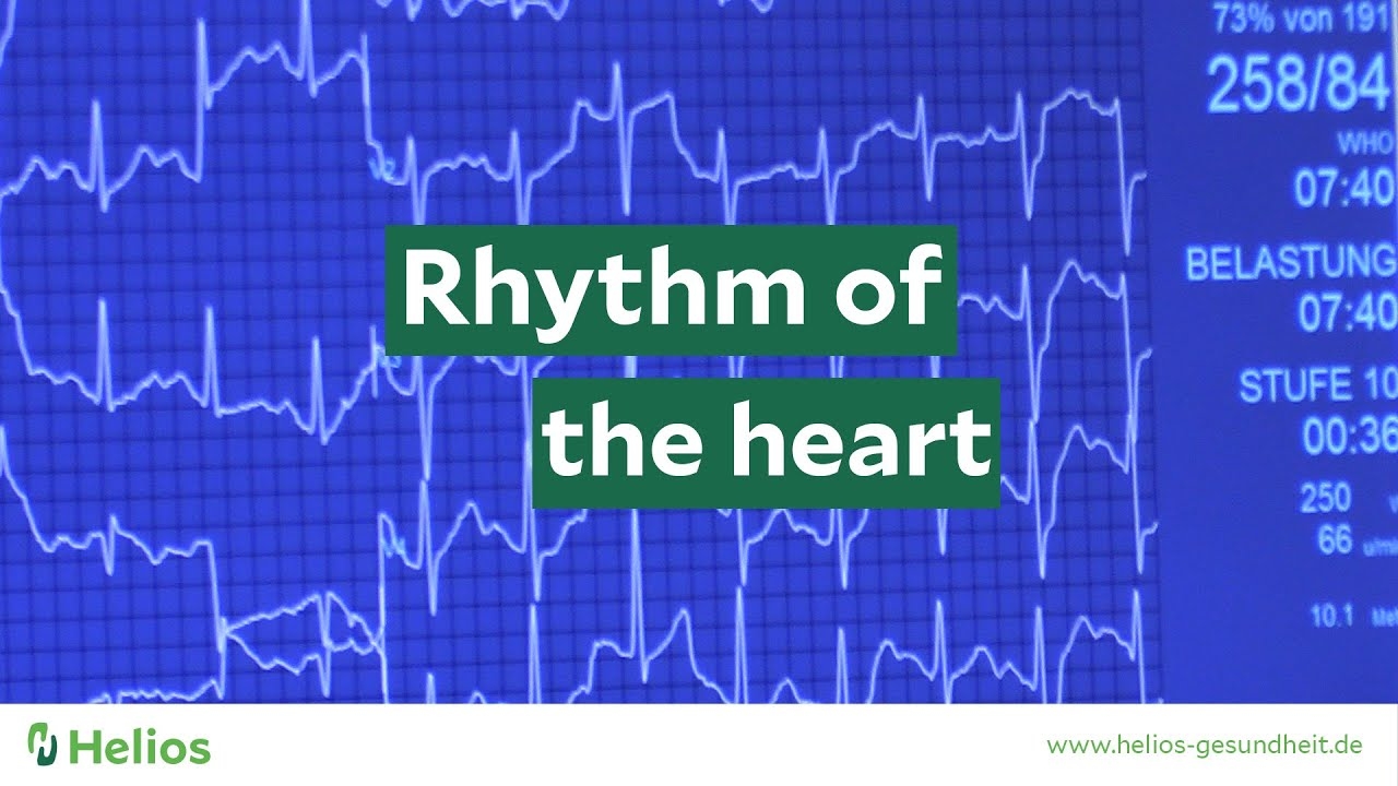 Cardiocheck from VfV 06 Hildesheim