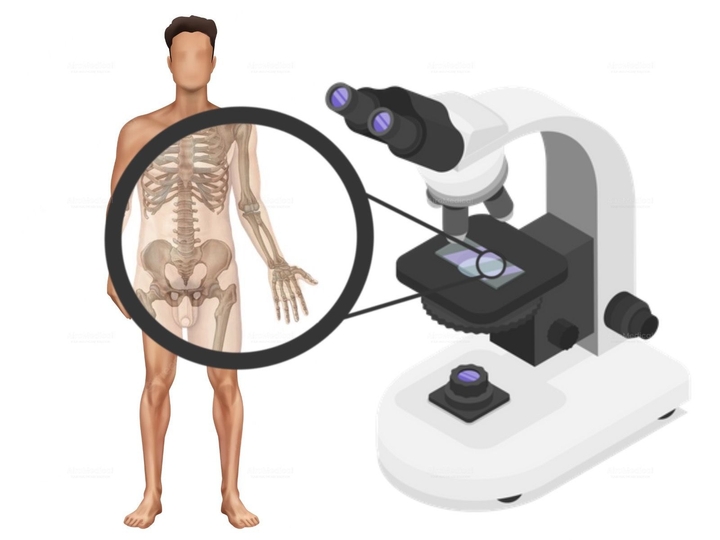 Comprehensive Examination for Male - Basic Check-Up Package at Centro Médico Teknon