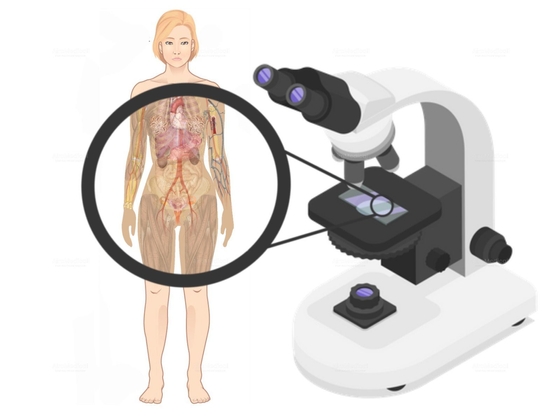Comprehensive Examination for Female - Basic Check-Up Package at Centro ...