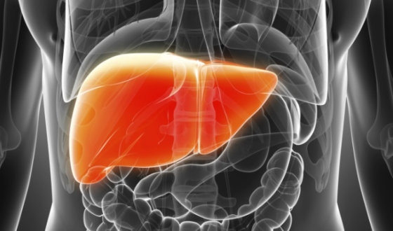 Transarterial Chemoembolization for Liver Cancer Treatment image