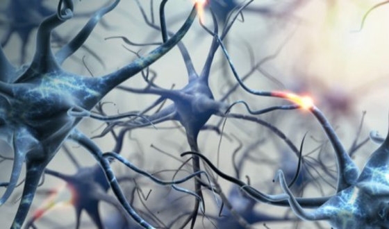 Motor neuron disease guide image