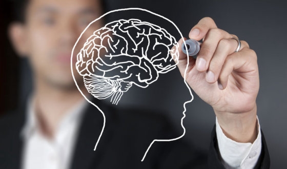 Epilepsy treatment in Germany image