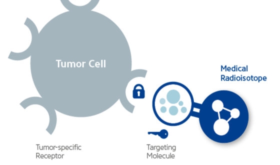 What is Better Actinium, Radium or Lutetium for Prostate Cancer? image