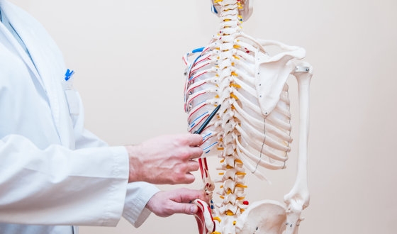 Treatments to Walk Again after a Spinal Cord Injury image