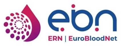 EuroBloodNet - European Reference Network on Rare Hematological Diseases 