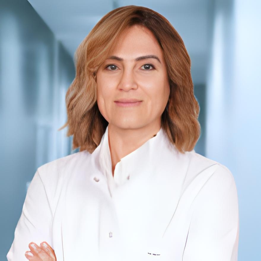 Prof. Dr. Sibel Gundes