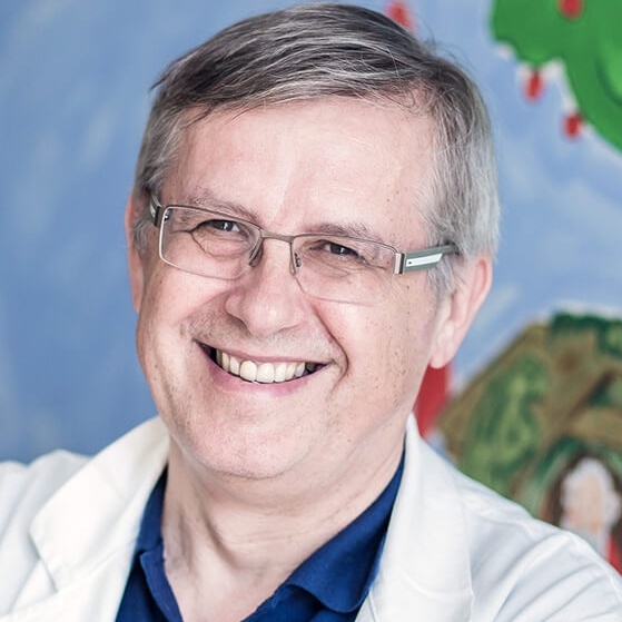 Prof. Dr. Gabor Katona, PhD