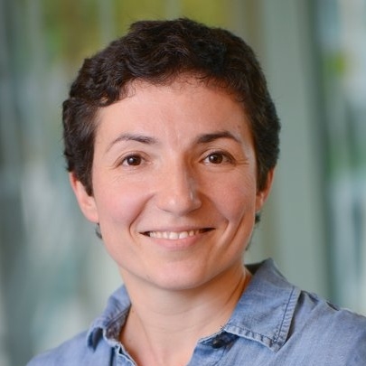 Dr. Elina Henkes