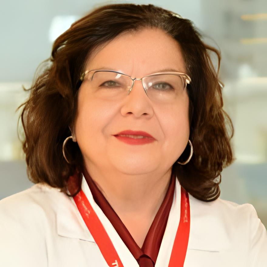 Prof. Dr. Oya Ercan