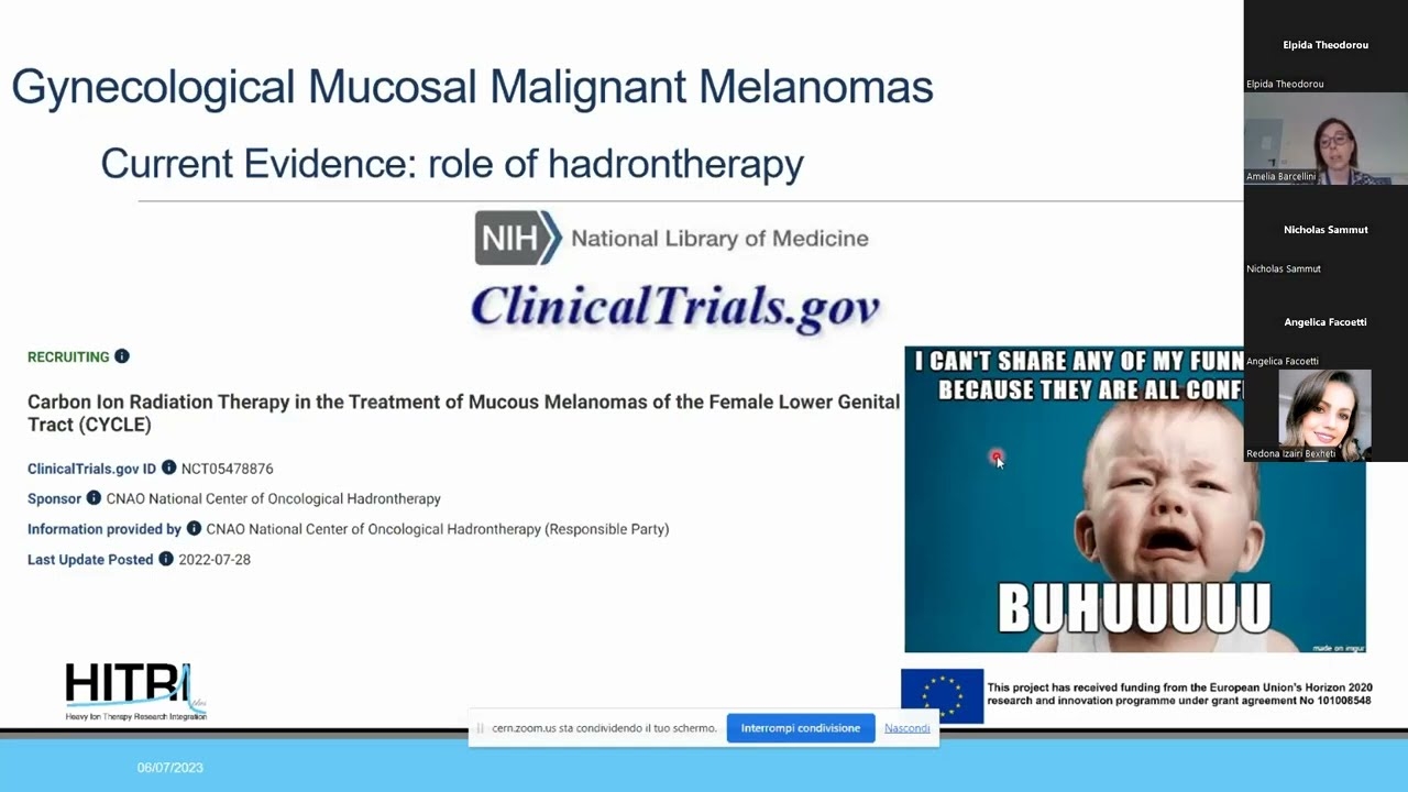 3rd HITRIplus School: Gynaecological Melanoma and Oligomet Ovarian Cancer Amelia Barcellini CNAO