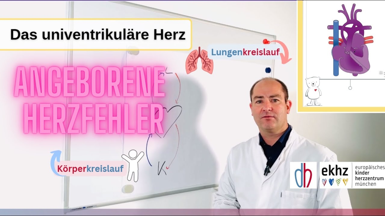 What to do if you have a heart defect? The univentricular heart - treatment at the German Heart Center Munich