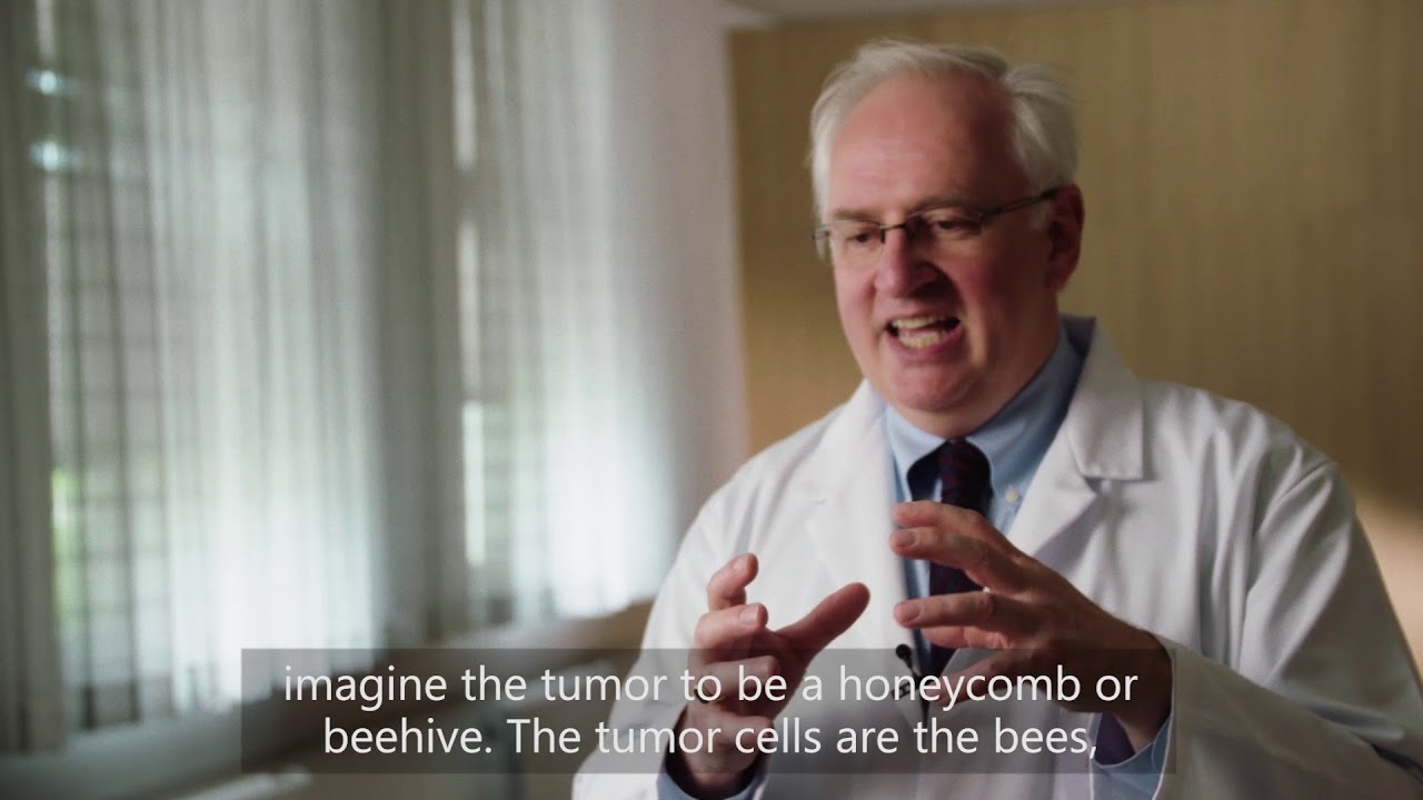 Tumor control: the beehive-metaphor