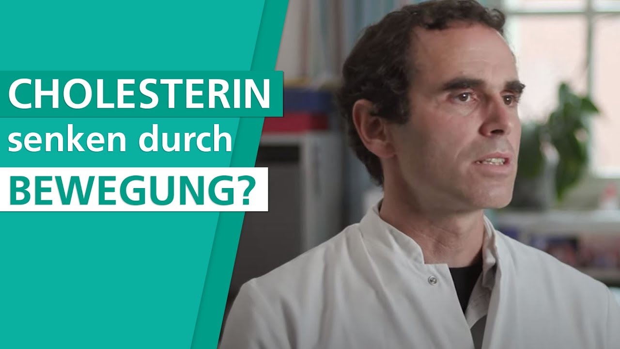 How to affect your cholesterol