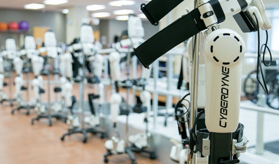 Robotic Rehabilitation in Poland image