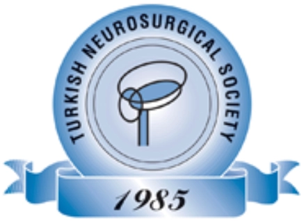 Turkish Neurosurgical Society