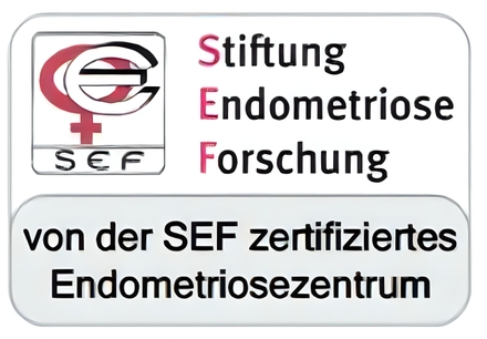 SEF - Endometriosis Research Foundation