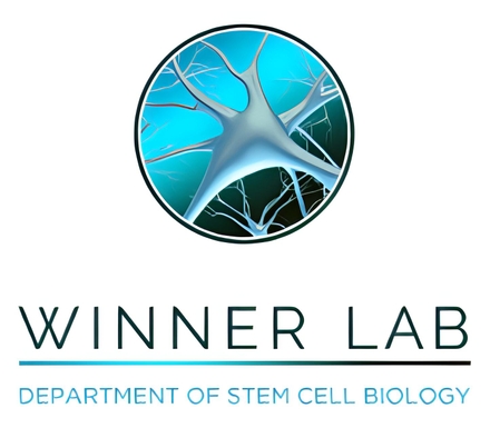 WINNER LAB - Department of Stem Cell Biology