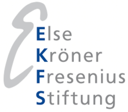 Else Kröner-Fresenius Foundation
