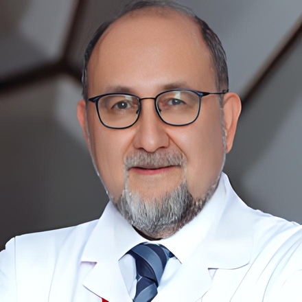 Prof. Dr. Ediz Altinli