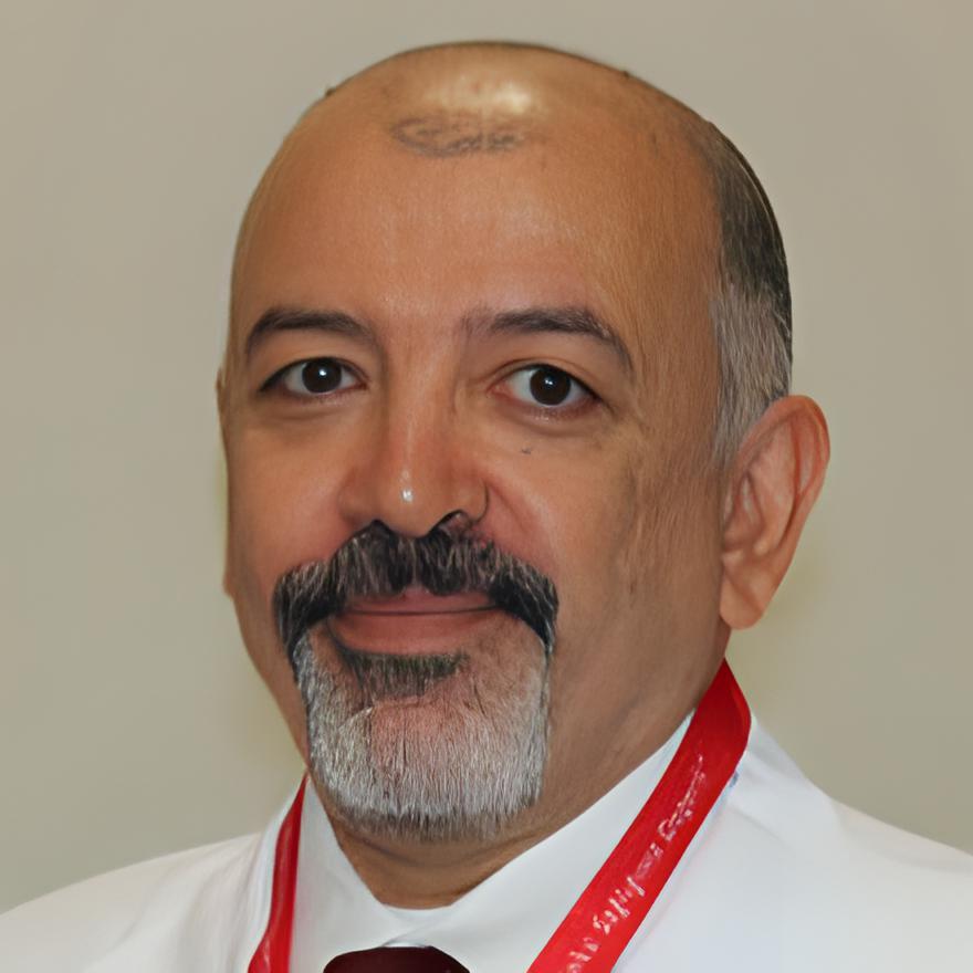 Prof. Dr. Erdal Gilgil