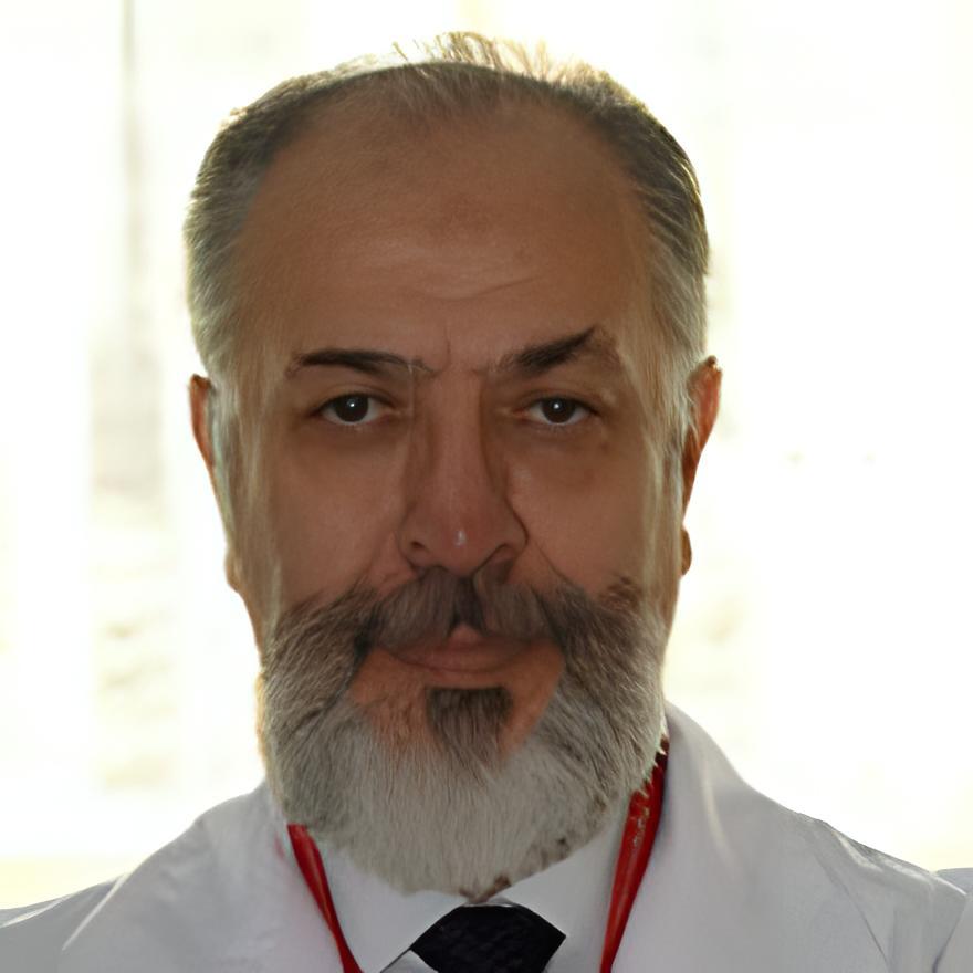 Prof. Dr. Attila Saygi