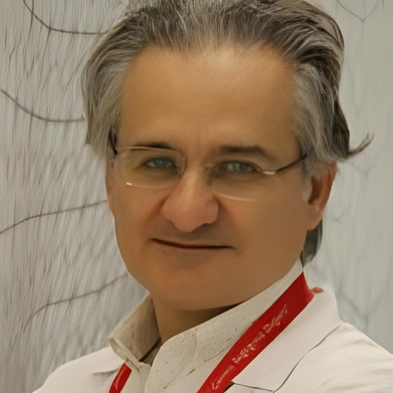 Prof. Dr. Mehmet Alpay Ates