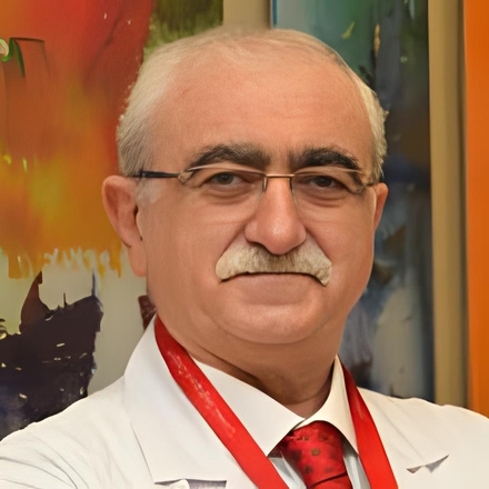 Prof. Dr. Bingur Sonmez